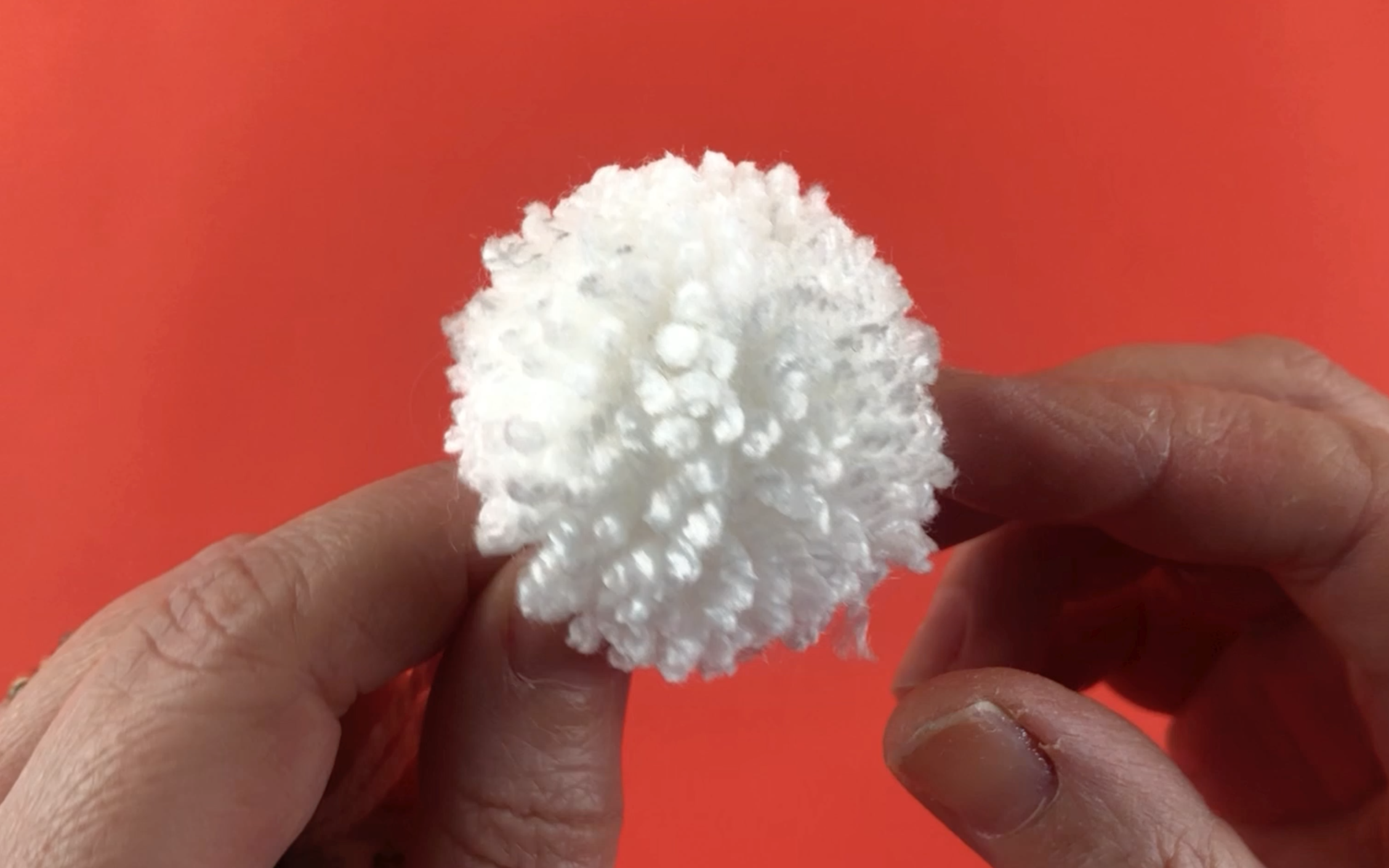 A small white pompom 